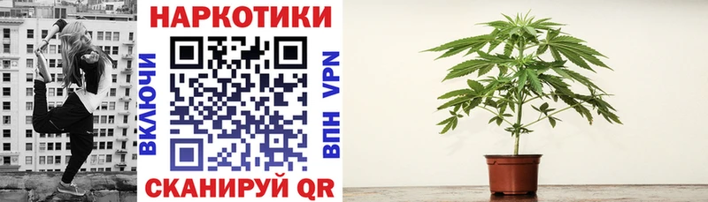 Канабис Мегион