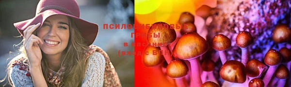 spice Алексин