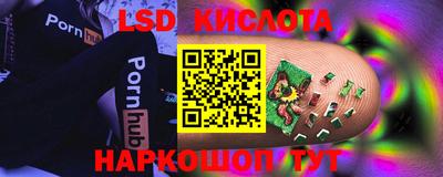 шишки Керчь
