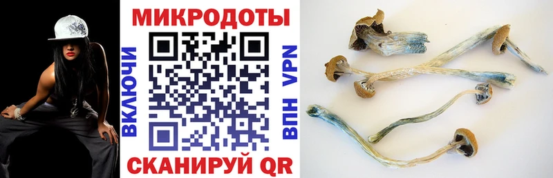 Псилоцибиновые грибы мухоморы Мегион