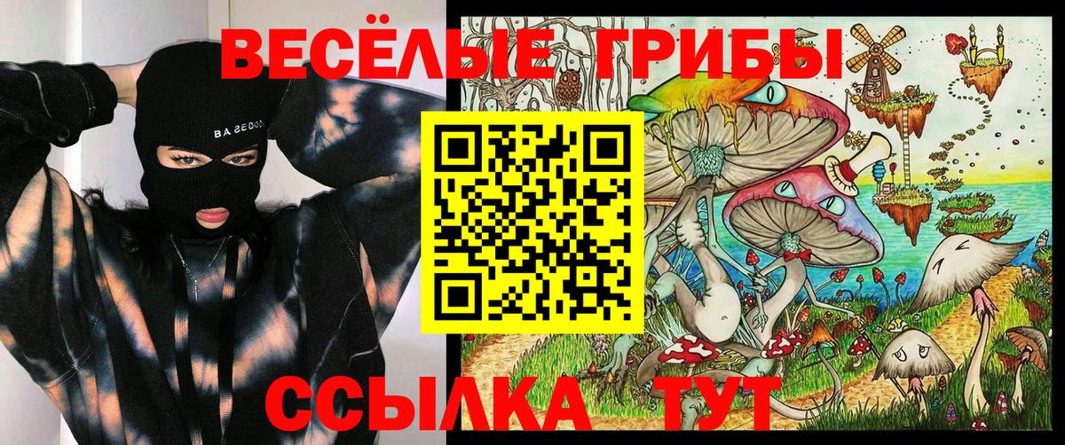 Псилоцибиновые грибы ЛСД Мегион